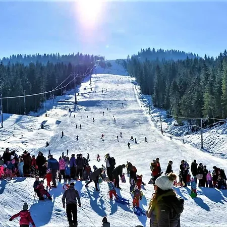 Vila - Golijanin Pale