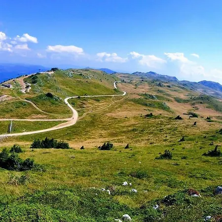 Vila - Golijanin *